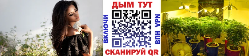 МАРИХУАНА ГИДРОПОН  где можно купить   Лангепас 